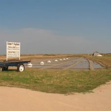 度假居 Maison Renovee 3 Pieces Avec Jardin Clos, A 700m Des Plages Et 400m Du Centre De - Fr-1-224b-28