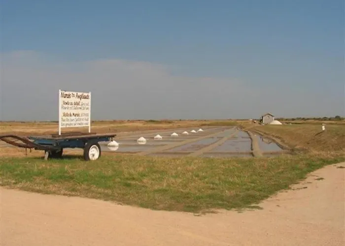 度假居 Maison Renovee 3 Pieces Avec Jardin Clos, A 700m Des Plages Et 400m Du Centre De - Fr-1-224b-28